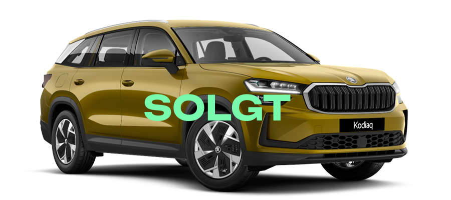 Nye Kodiaq